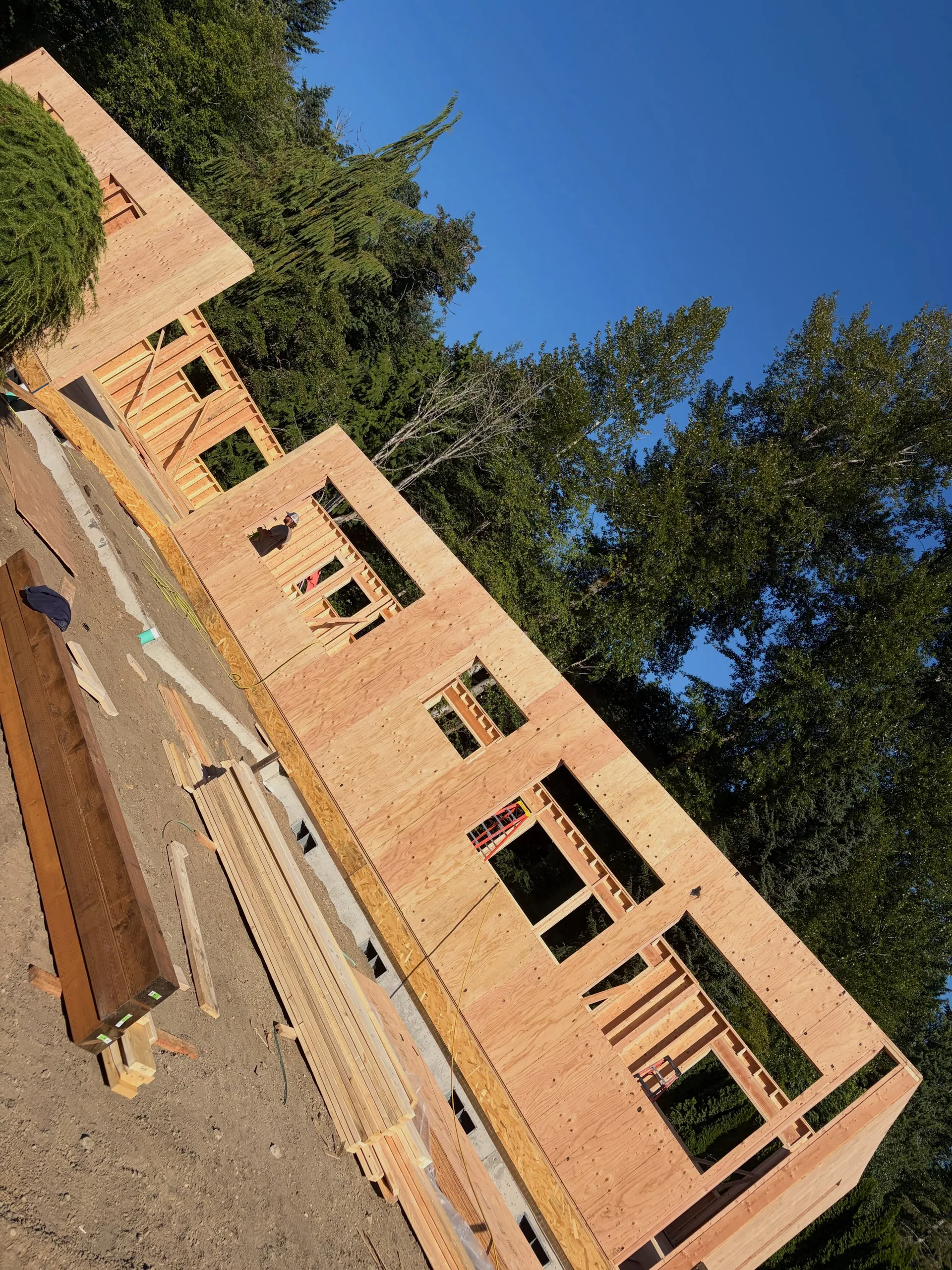 Plywood wall framing window openings evergreens